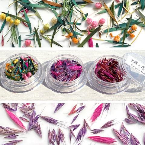 ドライフラワー 葉っぱ 花びら つぼみ 押し花 色々ミックス レジン