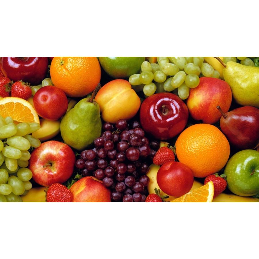 GH フローラ Micro/Bloom/Gro (中) 3本セット : Flora Farm - 通販