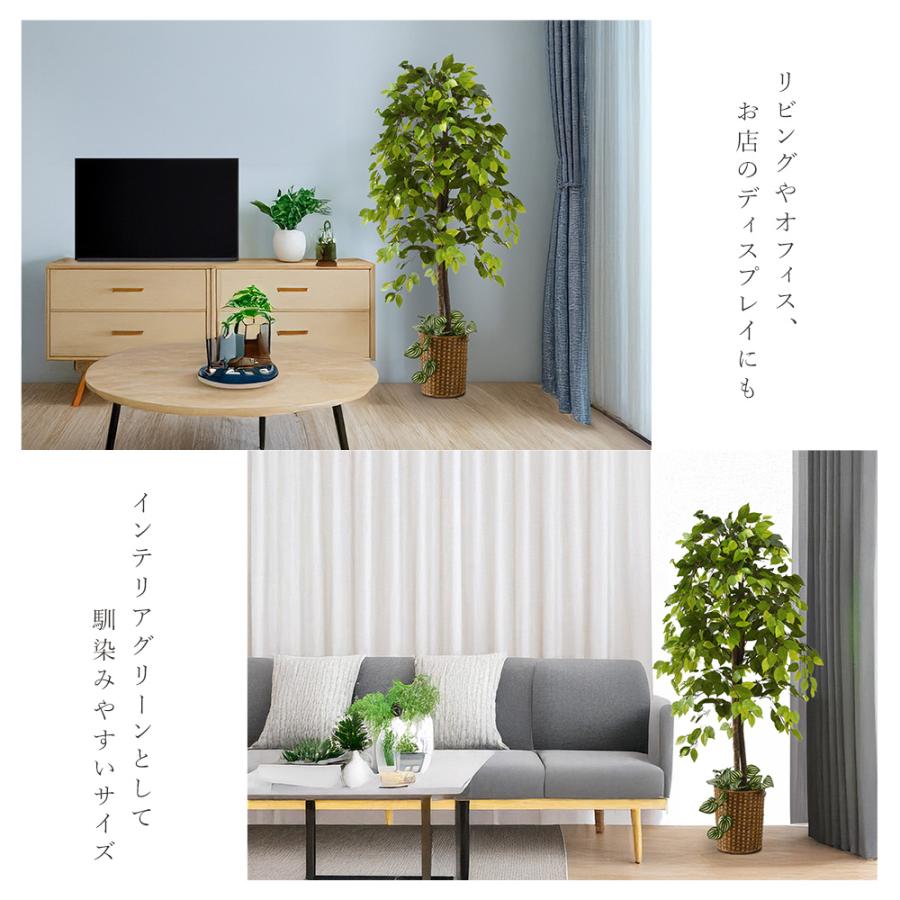 ベンジャミン 観葉植物 大型 高さ150cm フェイク グリーン おしゃれ 鉢