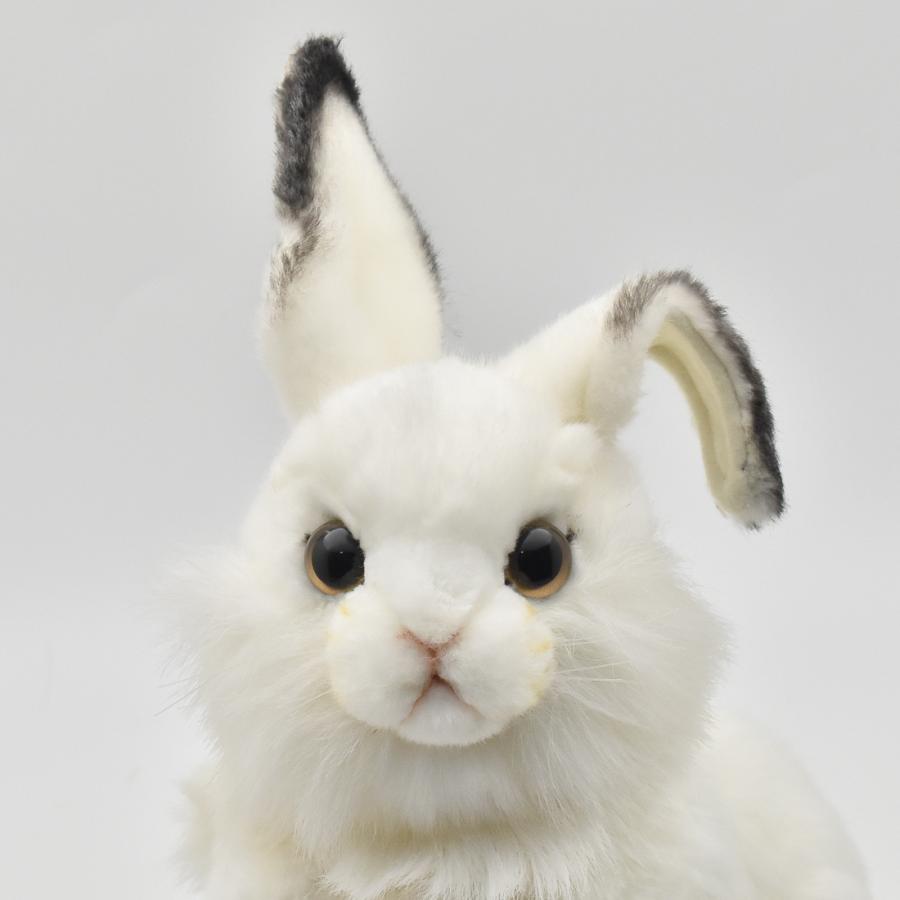 HANSA BH3313 シロウサギ しろうさぎ 白兎 ぬいぐるみ リアル : Dear
