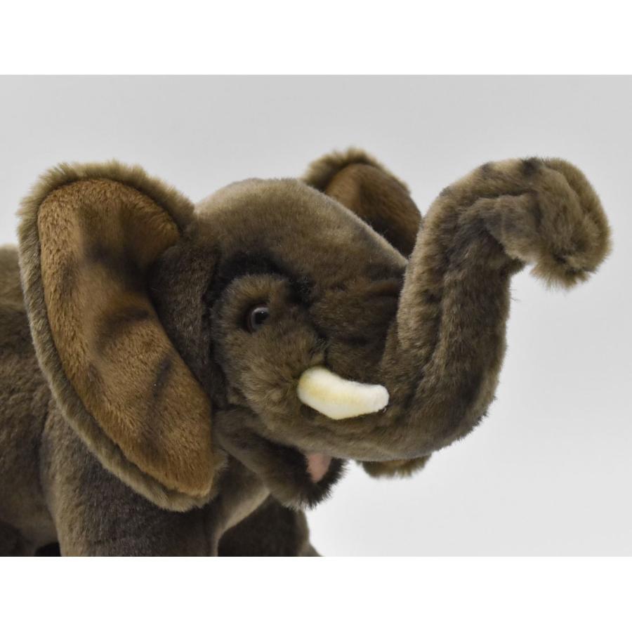 HANSA BH2967 アフリカゾウ ぞう 象 ぬいぐるみ リアル : Dear Bear