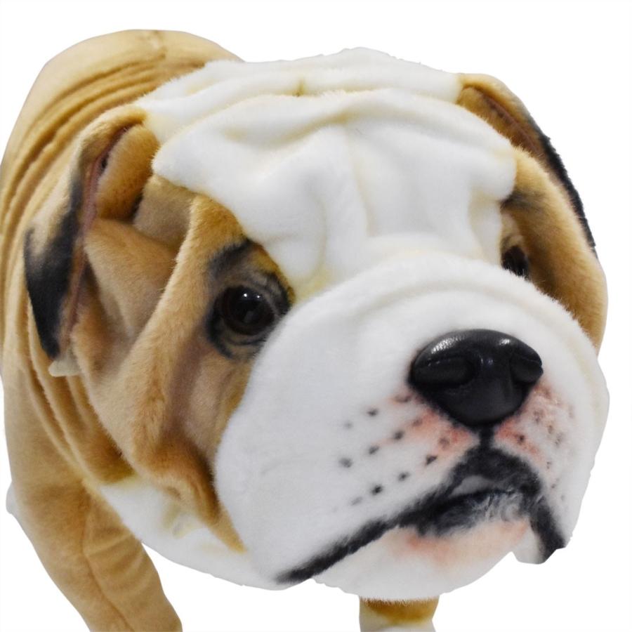 HANSA BH5626 ブリティッシュブルドッグ ぶりてぃっしゅぶるどっぐ