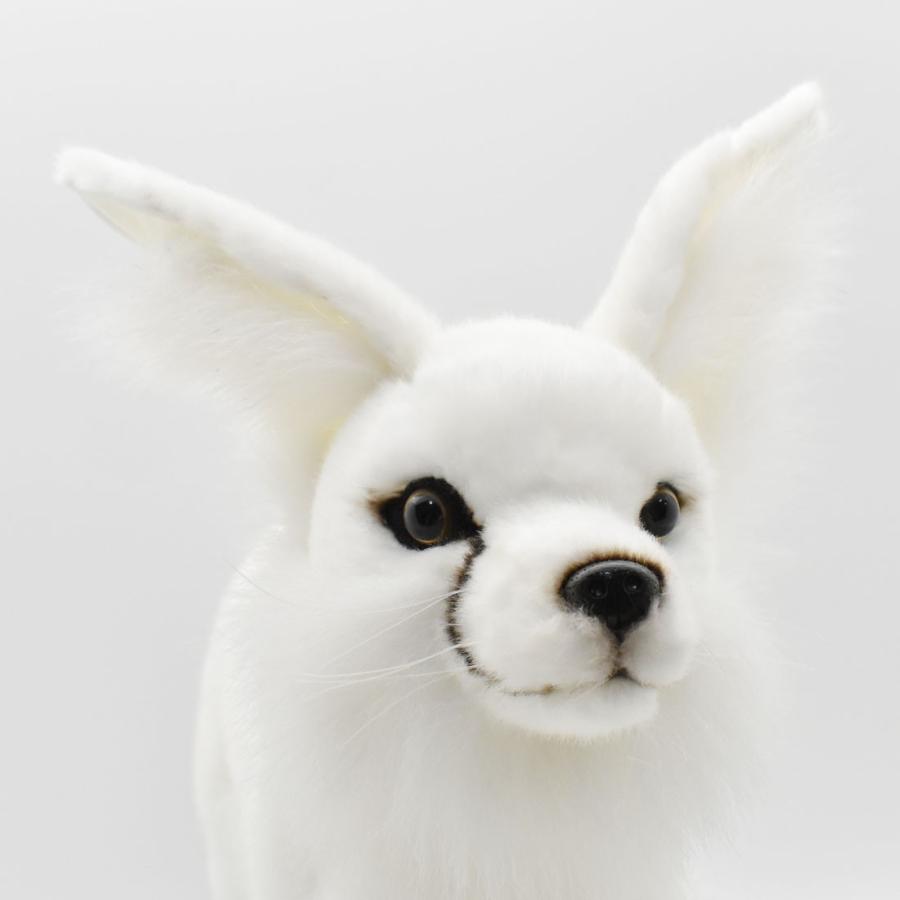 HANSA BH4069 フェネック ふぇねっく きつね キツネ 狐 ぬいぐるみ