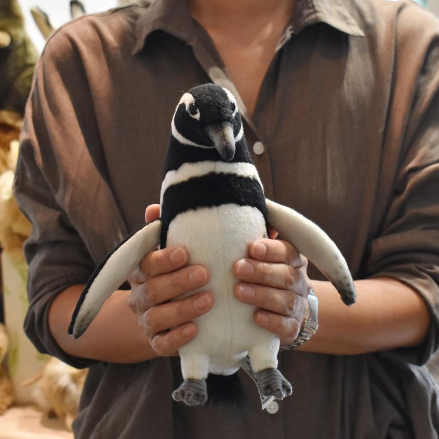 HANSA BH7083 マゼランペンギン まぜらんぺんぎん ぬいぐるみ リアル