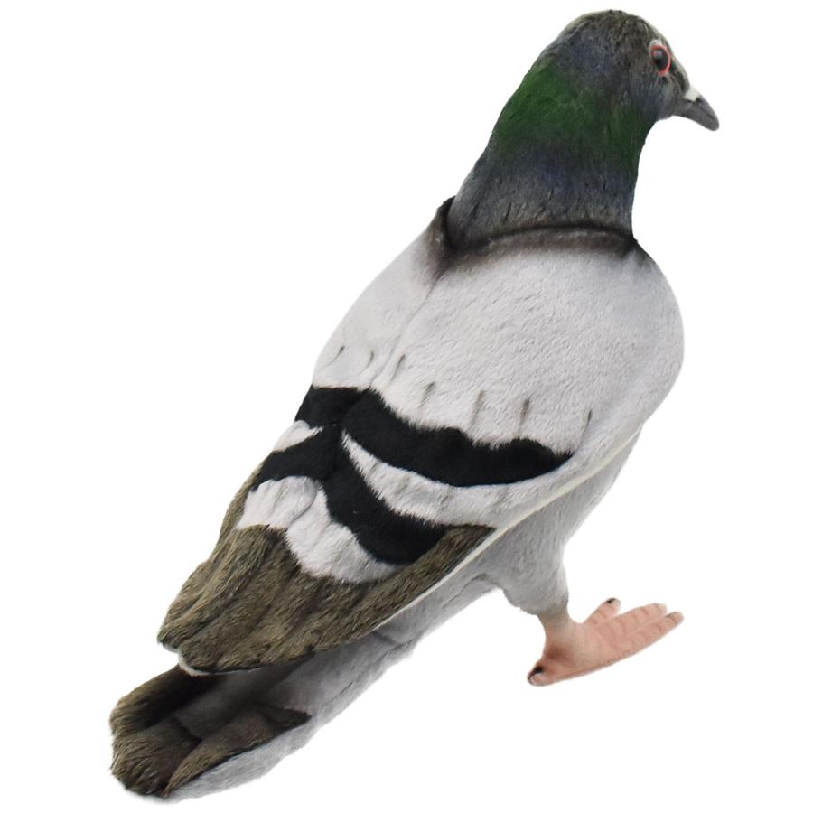 HANSA BH6299 ハト はと 鳩 とり トリ 鳥 ぬいぐるみ リアル : Dear