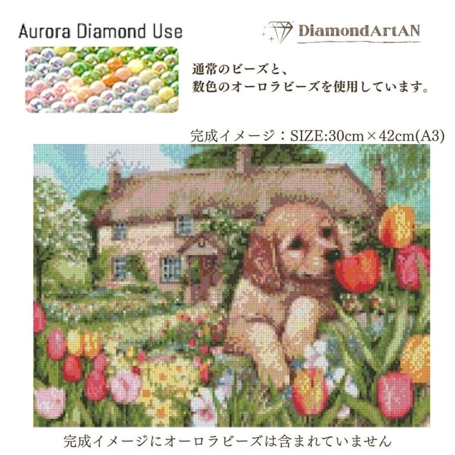 A3 オーロラビーズ使用 もっと輝くダイヤモンドアート : ダイヤモンド