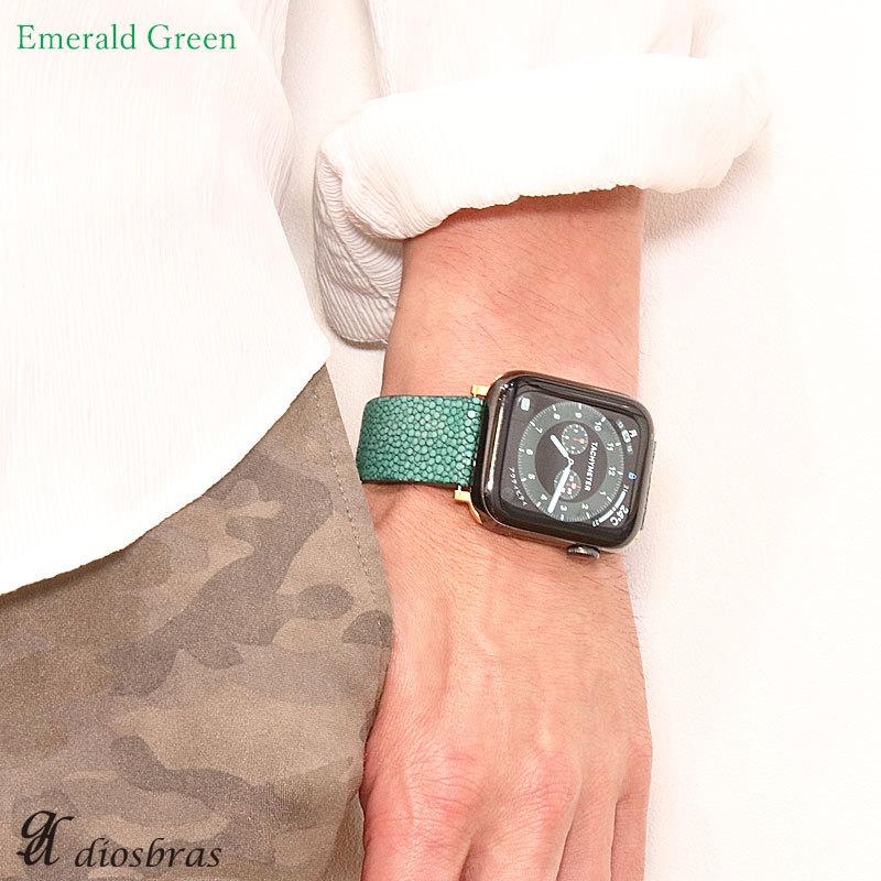 スティングレイ エイ革 ガルーシャ スティングレー 16mm18mm 20mm 22mm