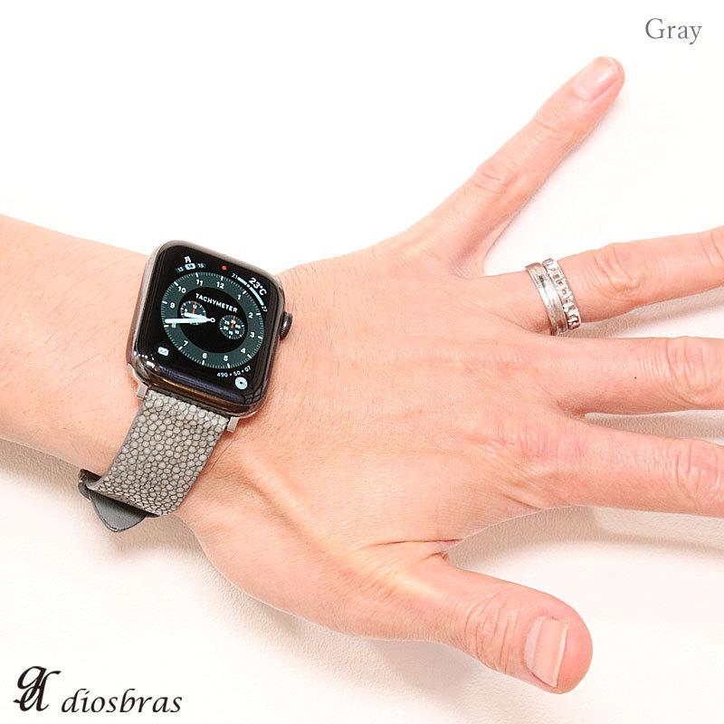 スティングレイ エイ革 ガルーシャ スティングレー 16mm18mm 20mm 22mm