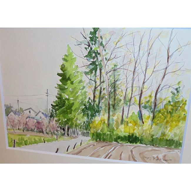 絵画 水彩画 横尾武之 作 「川越市・巨大クヌギの思い出」 風景画