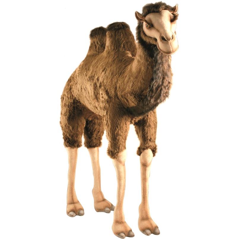 HANSAぬいぐるみ【フタコブ ラクダ（全長：180cm)】（等身大フィギュア