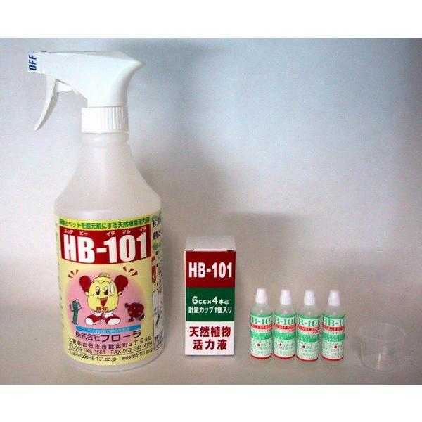 植物活力剤 HB-101 6cc×4本 500ccスプレー容器セット フローラ : e