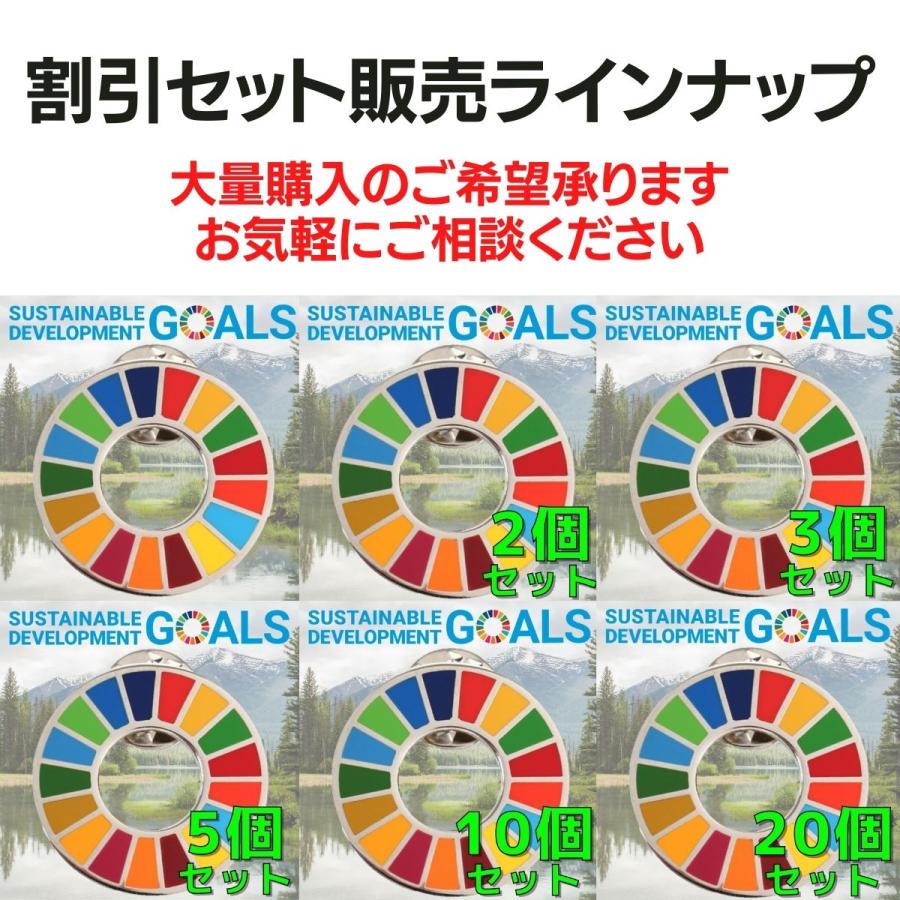 SDGs バッジ 本物 ピンバッジ 正規品 国連開発計画ショップ限定 平型