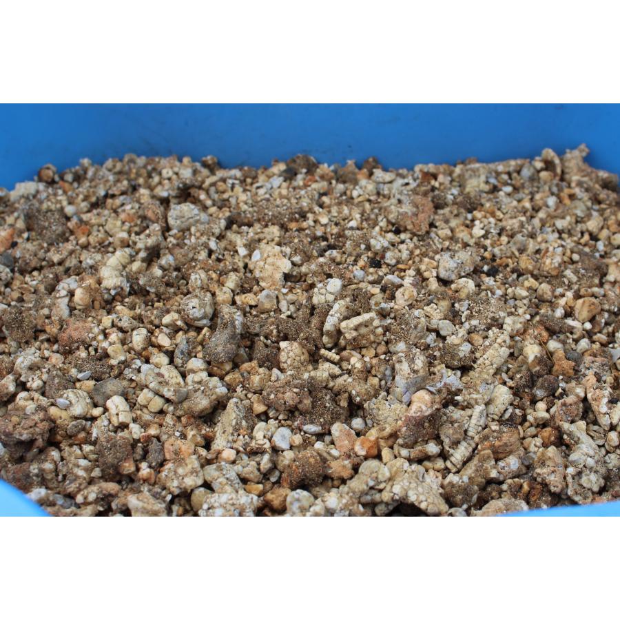 害獣・害鳥用乾燥ヒトデの忌避剤 撃退パンチ2kg(国産) : イオスYahoo