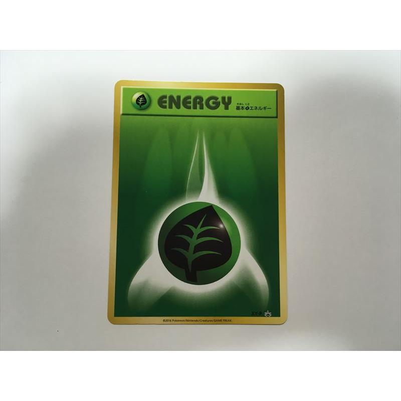 Pokemon（ポケモン） D14【ポケモン カード】 XY-P プロモ 基本草