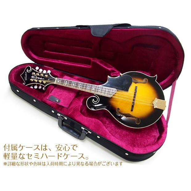 マンドリン Blanton ブラントン BM-30F 初心者 10点セット Fタイプ