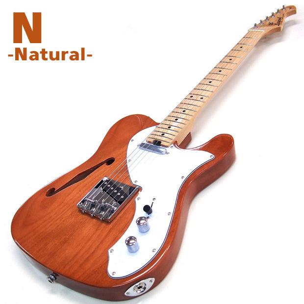 ARIA（アリア） エレキギター Legend LTE-69TL 初心者15点セット