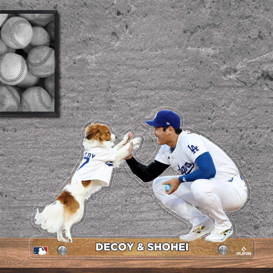 送料無料 2024ワールドシリーズ優勝記念！MLBロサンゼルス・ドジャース