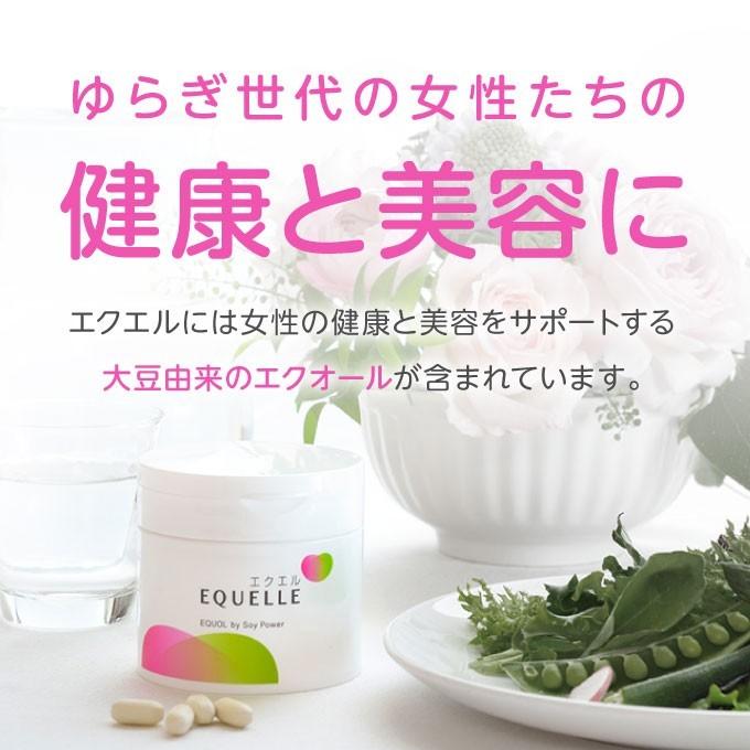 エクエル 大塚製薬 112粒×3個 ボトルタイプ エクオール : エクセレント