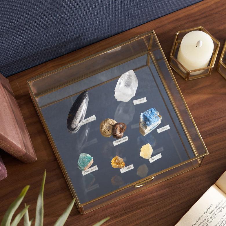 ELEMENTS ガラス ケース ジュエリー ボックス ふた付き 小物 入れ 卓上