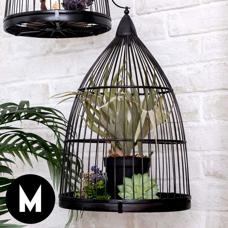 古いフランスの鳥籠の底板 フランス アンティーク 鳥籠 【公式通販