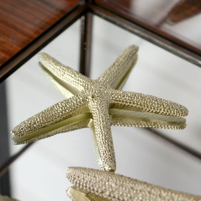 スターフィッシュ ヒトデ 貝殻 オブジェ インテリア 置物 白 ゴールド