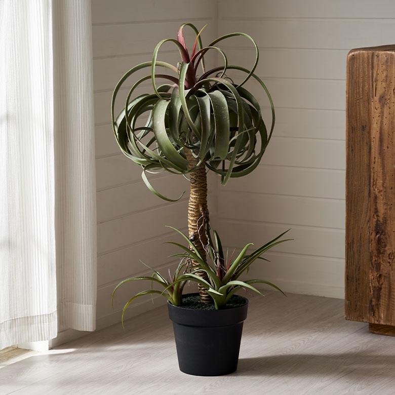 フェイク グリーン チランジア キセログラフィカ 高さ 83cm 人工 観葉