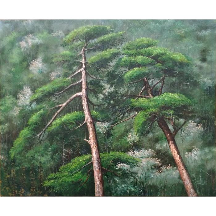 特価油絵 松の木 AC46 : 絵画制作専門ユーラシアアート - 通販 - Yahoo