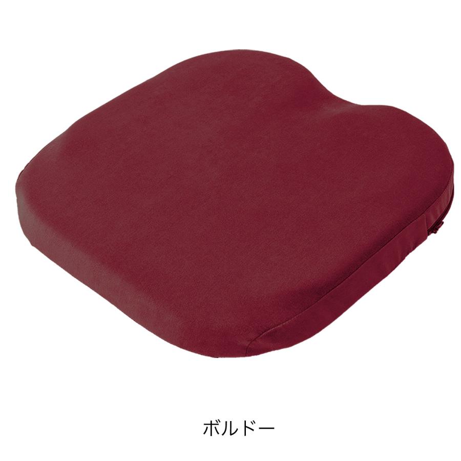 EXGEL（エクスジェル） メーカー公式 ザ・アウル 3Dハイエスト 用 替え