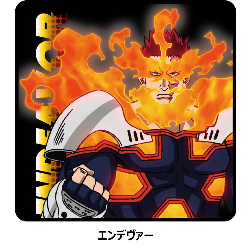 Ryuna（リュウナ） 僕のヒーローアカデミア ヒロアカ 公式グッズ プロ