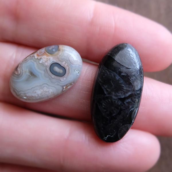 ブラックフォッシルコーラル （化石珊瑚）約24×12×5mm ・クレイジー