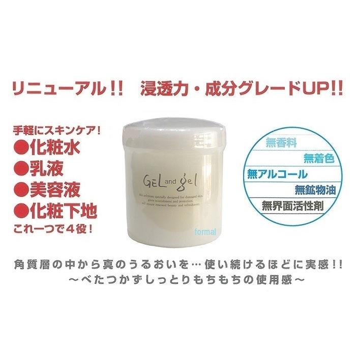 ゲルアンドゲル S クリーム レギュラー 容量500g 2個 ゲル&ゲル