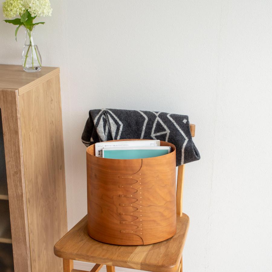 AXCIS（アクシス） ＼2/25はポイント10倍／ シェーカーダストボックス