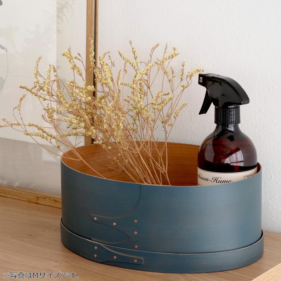 AXCIS（アクシス） ＼2/22はポイント10倍／ シェーカーボックス S