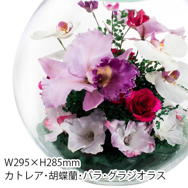 レンデフロール カトレア 胡蝶蘭 シクラメン グラジオス ドライ