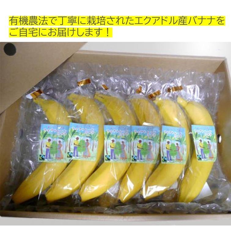 大12本 エクアドル産 おいしさひろがるフェアトレードバナナ（バレリー
