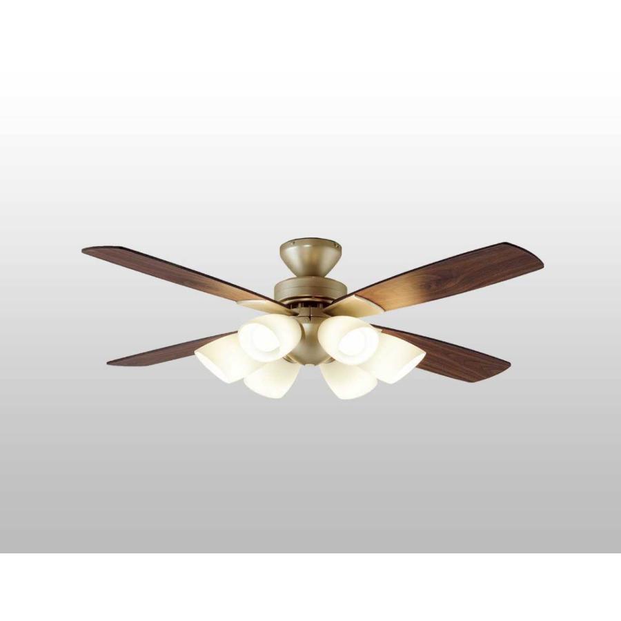 DAIKO（ダイコー） 長期保証 薄型 軽量 LED 6灯 明るさ8畳 シーリング