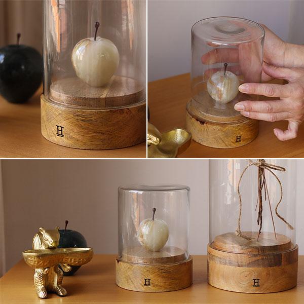 ガラスドーム シリンダー1（ディスプレイケース ガラスケース ショー