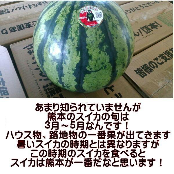 すいか 訳あり サイズS（約4キロ）スイカ 西瓜 熊本産 1玉入り