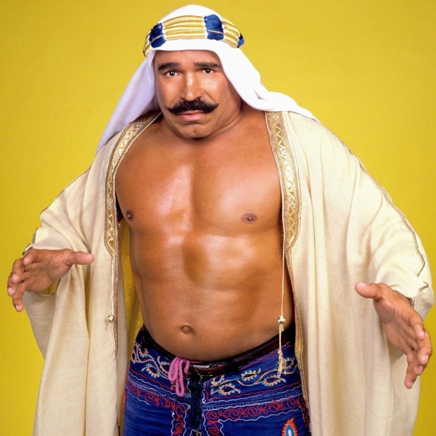 GILDAN（ギルダン） アイアン・シーク Tシャツ「THE IRON SHEIK Make