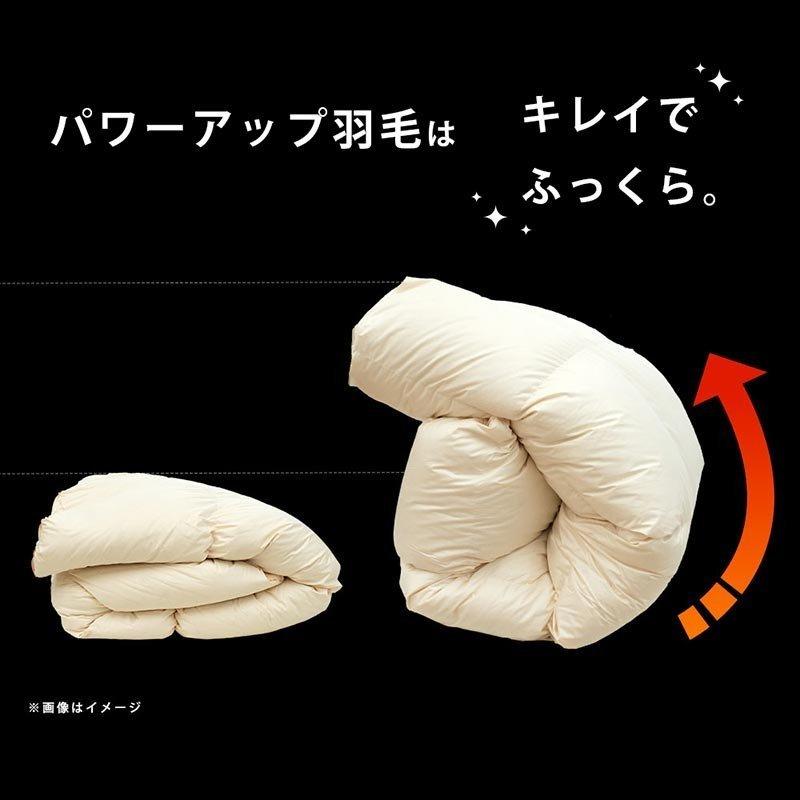 羽毛布団 シングル ポーランド産ダウン93％ 1.2kg 2層キルト 日本製