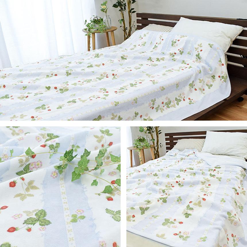 WEDGWOOD（ウェッジウッド） 西川 タオルケット シングル 日本製 綿100