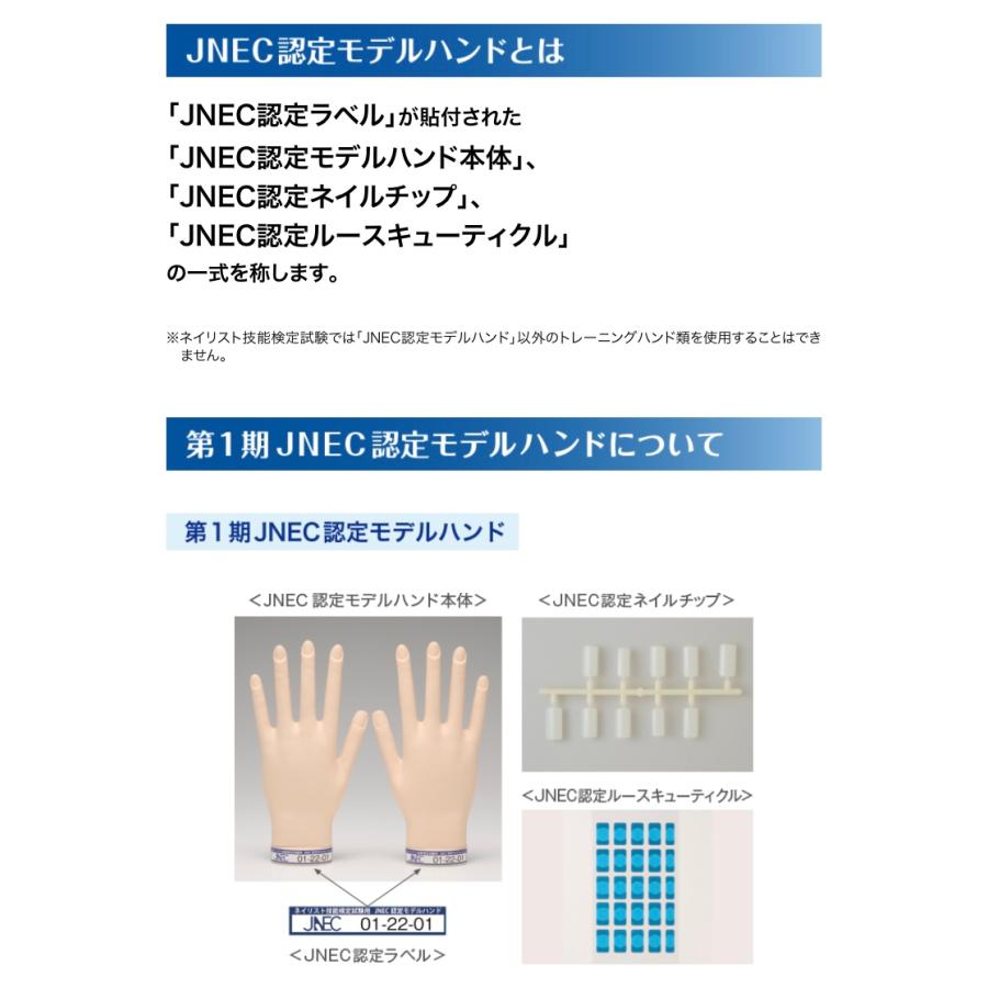 JNEC認定 STモデルハンド 右手 チップ差込式(ネイルチップ付き)/ハンド