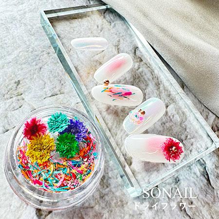 SONAIL ソネイル ドライフラワー カラフル ペタルアート FY001336