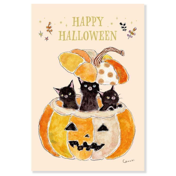 ポストカード ハロウィン トコロコムギポストカード かぼちゃの中に黒