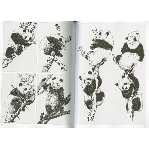 水墨画 / 水墨画集 中国画集 墨彩画 絵手紙 日本画 パンダ画譜 : 黄河