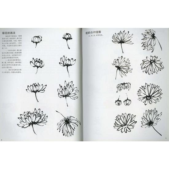 水墨画 / 水墨画集 中国画集 墨彩画 絵手紙 日本画 [菊花の描き方と
