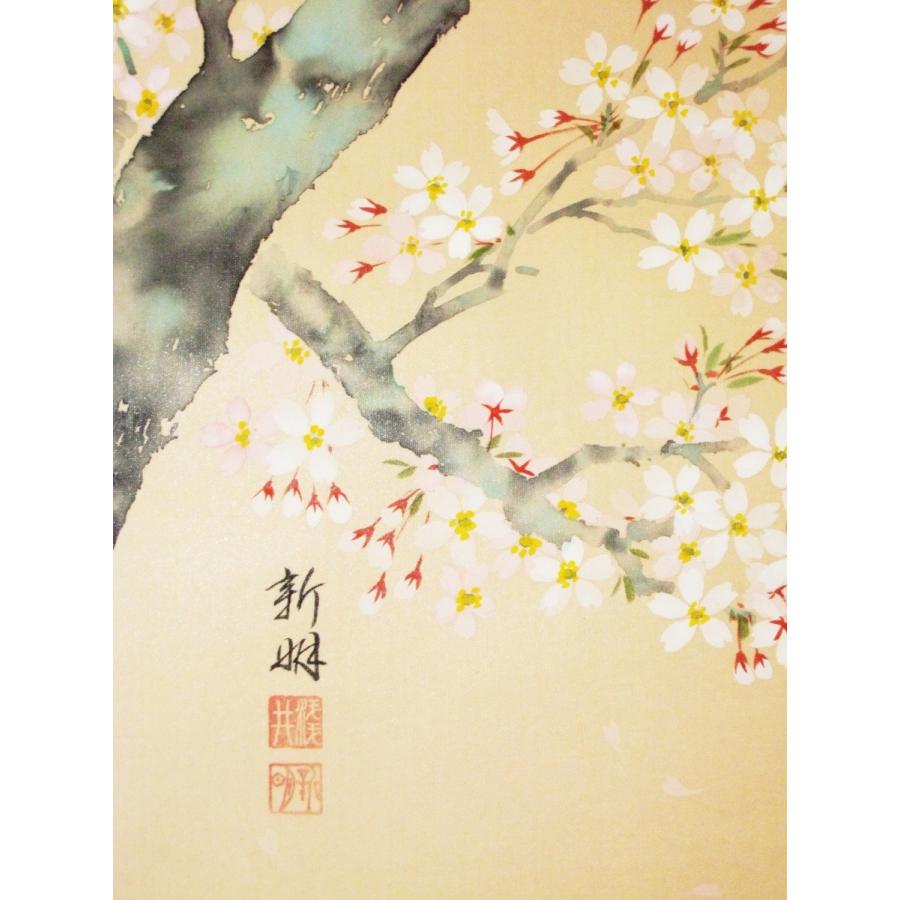 掛け軸 掛軸 桜に小鳥 浅井新明 (真作・新品) : 掛け軸の専門店 香遊