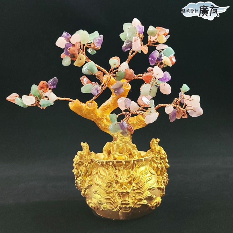 開運 風水 招財樹 招財 樹 置き場 所 効果 金のなる木 金運アップ