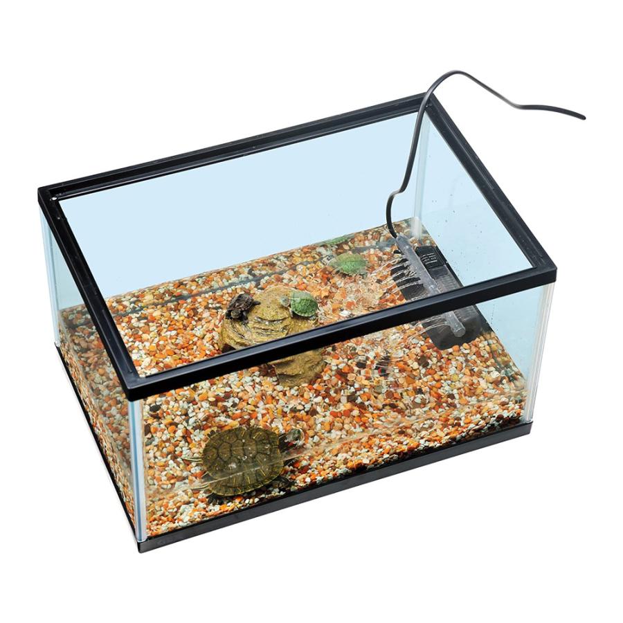 ジェックス カメ元気 カメの楽園450 飼育セット : コーナンeショップ