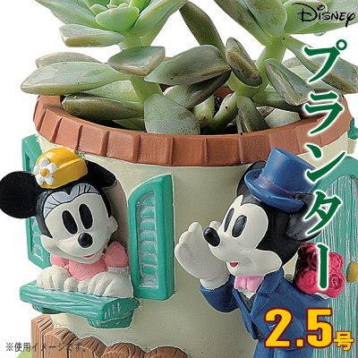 プランター 2.5号 小さい 植木鉢 窓辺 ミニーマウス＆ミッキーマウス